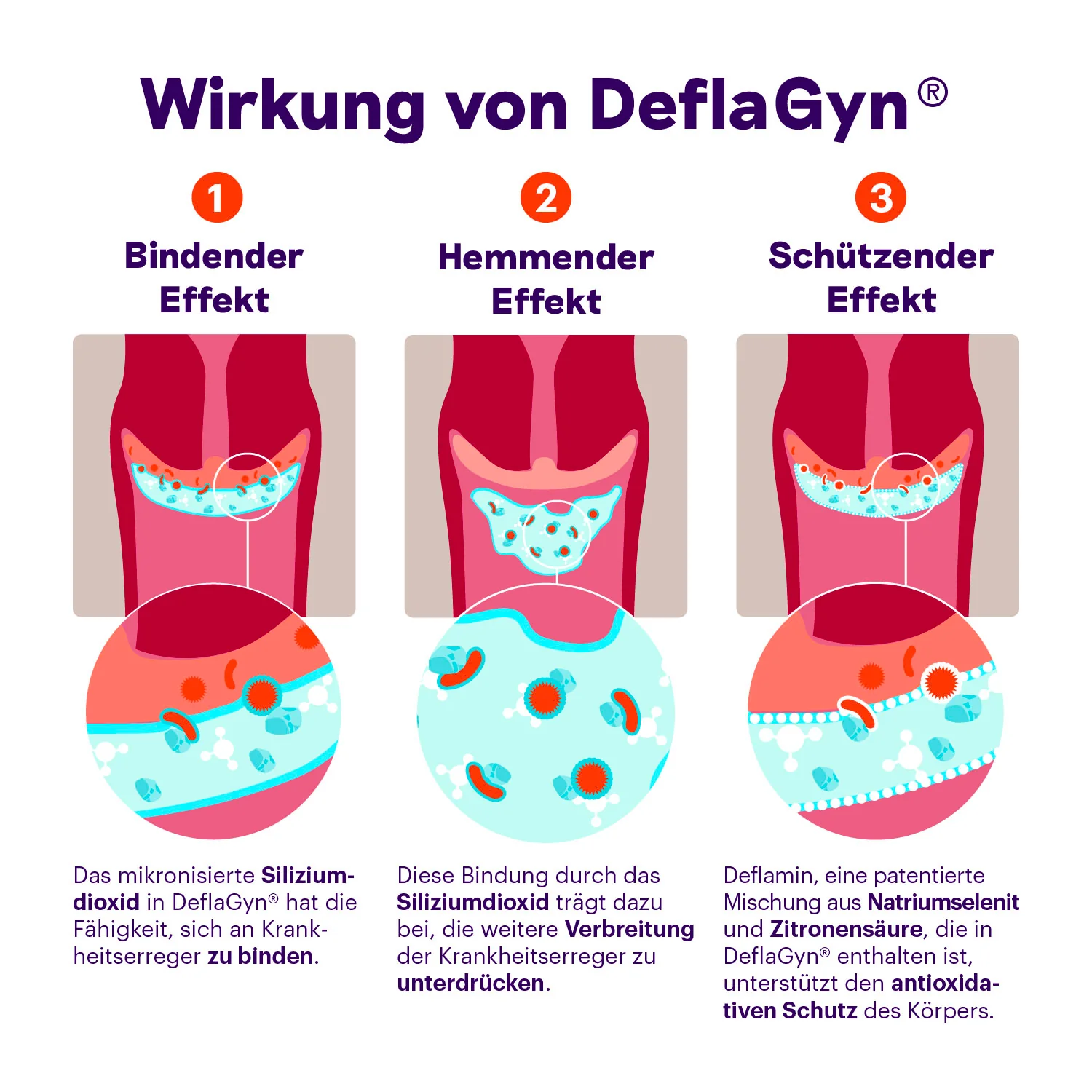 DeflaGyn® Vaginalgel - Image 3